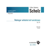 Thüringer volkslied mit variationen, Op. 141